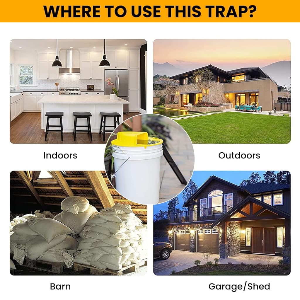 HASTHIP® Mouse Trap Bucket Rat Trap for Mice Rats Chipmunks Squirrels Hamsters Rodents Reusable Catcher Cage Repellent for Home Door Style Bucket Not Included 3PCS HASTHIP® Mouse Trap Bucket Rat Trap for Mice Rats Chipmunks Squirrels Hamsters Rodents Reusable Catcher Cage Repellent for Home Door Style Bucket Not Included 3PCS